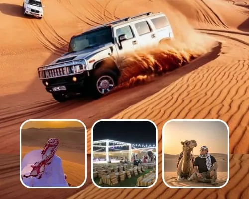 Camel Riding Dubai Safari Experience